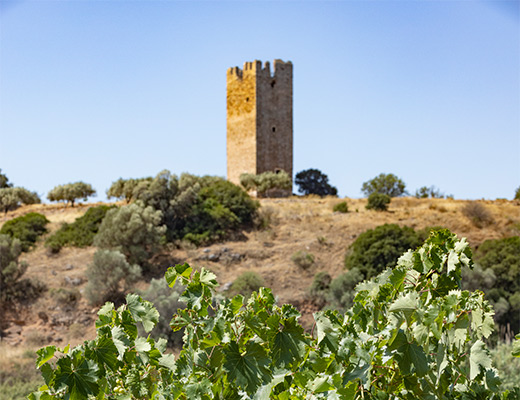Medieval Tower of Vravronas